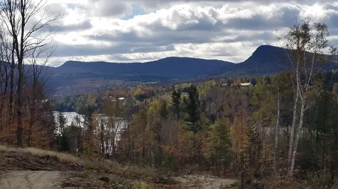 Long View Lane Westmore VT 05860