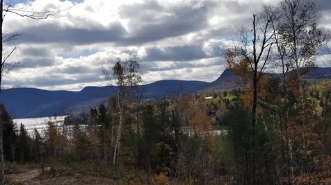 Long View Lane Westmore VT 05860