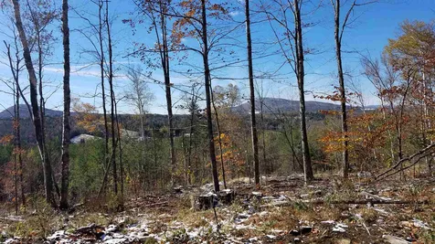 Long View Lane Westmore VT 05860