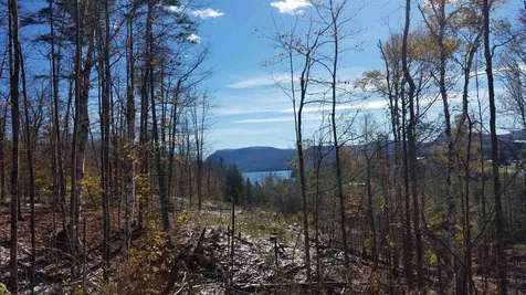 Long View Lane Westmore VT 05860