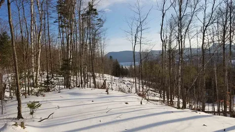 Long View Lane Westmore VT 05860
