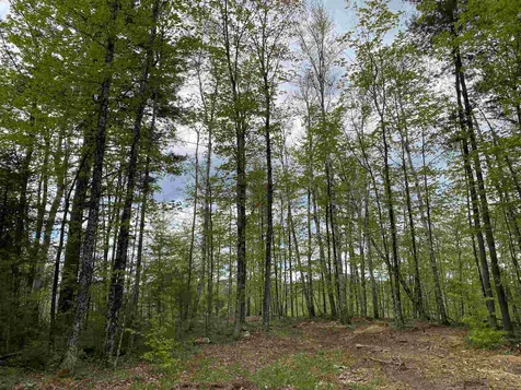 Long View Lane Westmore VT 05860