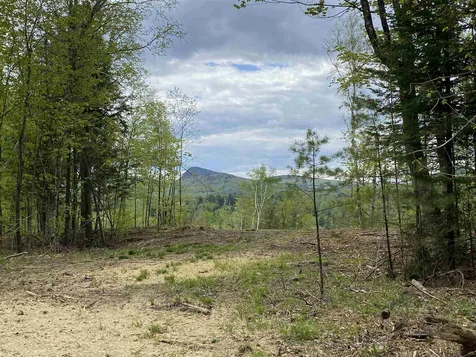 Long View Lane Westmore VT 05860