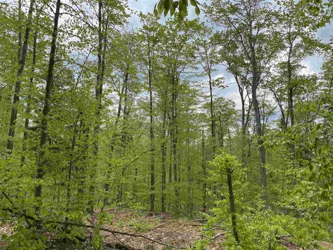 Long View Lane Westmore VT 05860