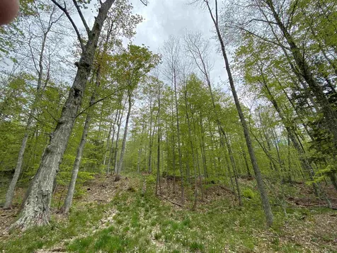 Long View Lane Westmore VT 05860