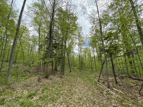 Long View Lane Westmore VT 05860