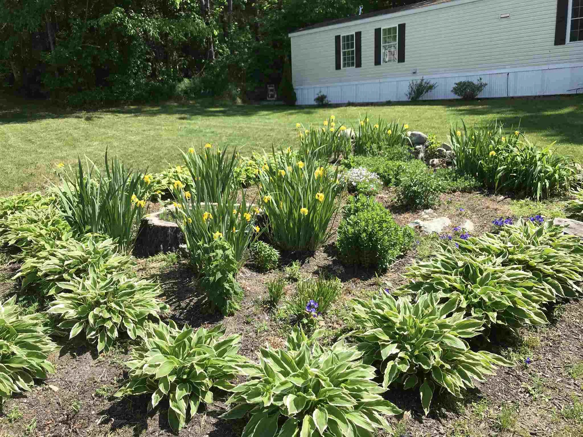 19 Bellic Street Claremont NH 03743