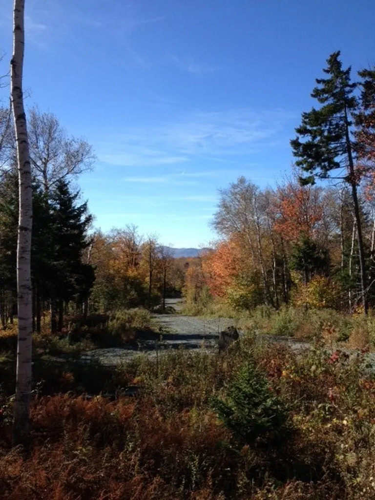 Lot#1 Woodman Road Extension Dover VT 05356