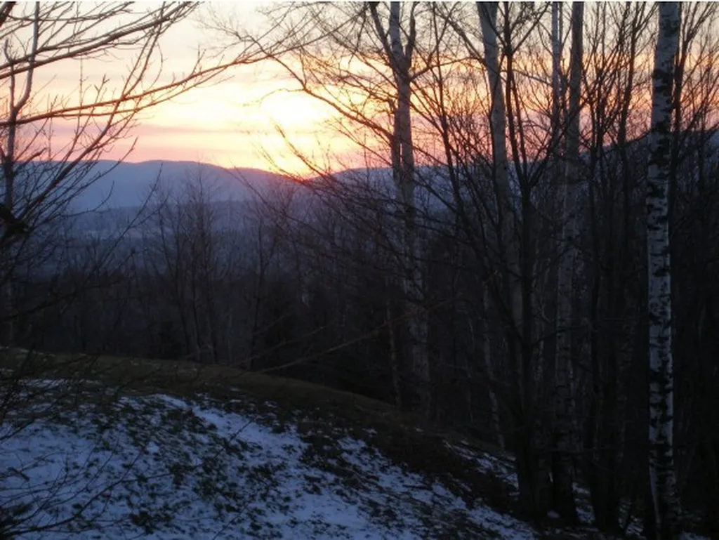 Lot#1 Woodman Road Extension Dover VT 05356