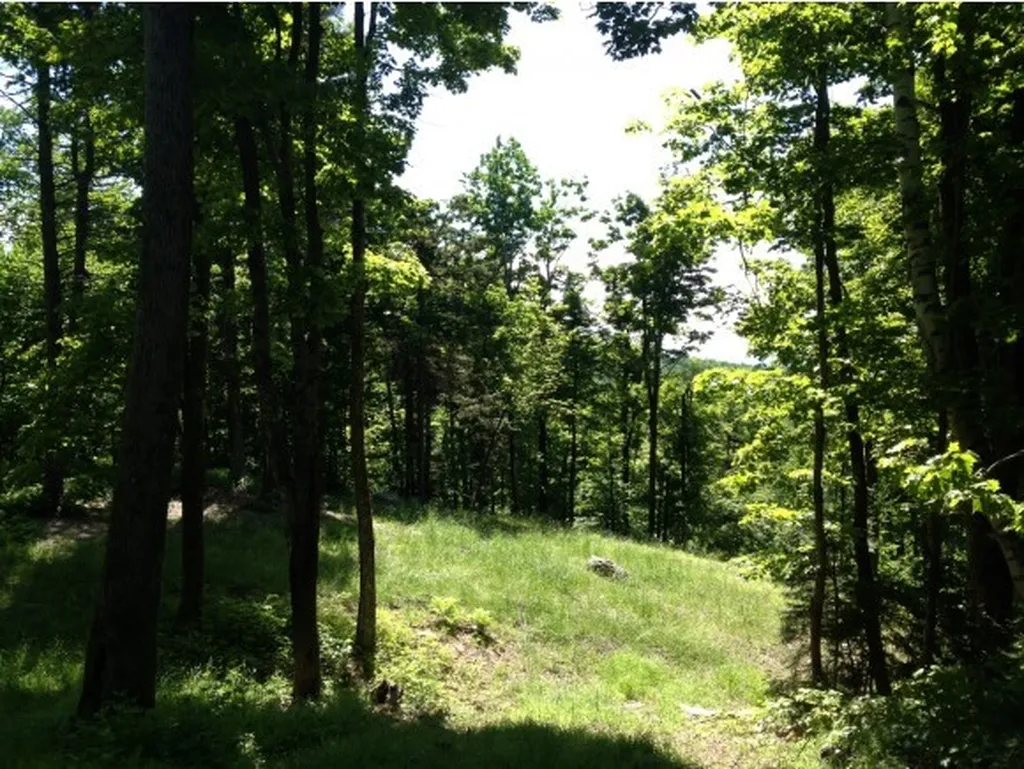 Lot#1 Woodman Road Extension Dover VT 05356