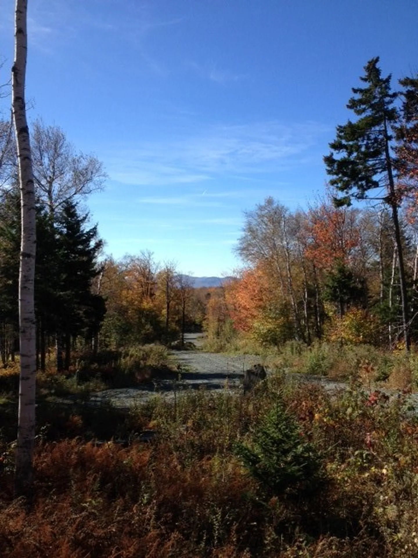 Lot#1 Woodman Road Extension Dover VT 05356