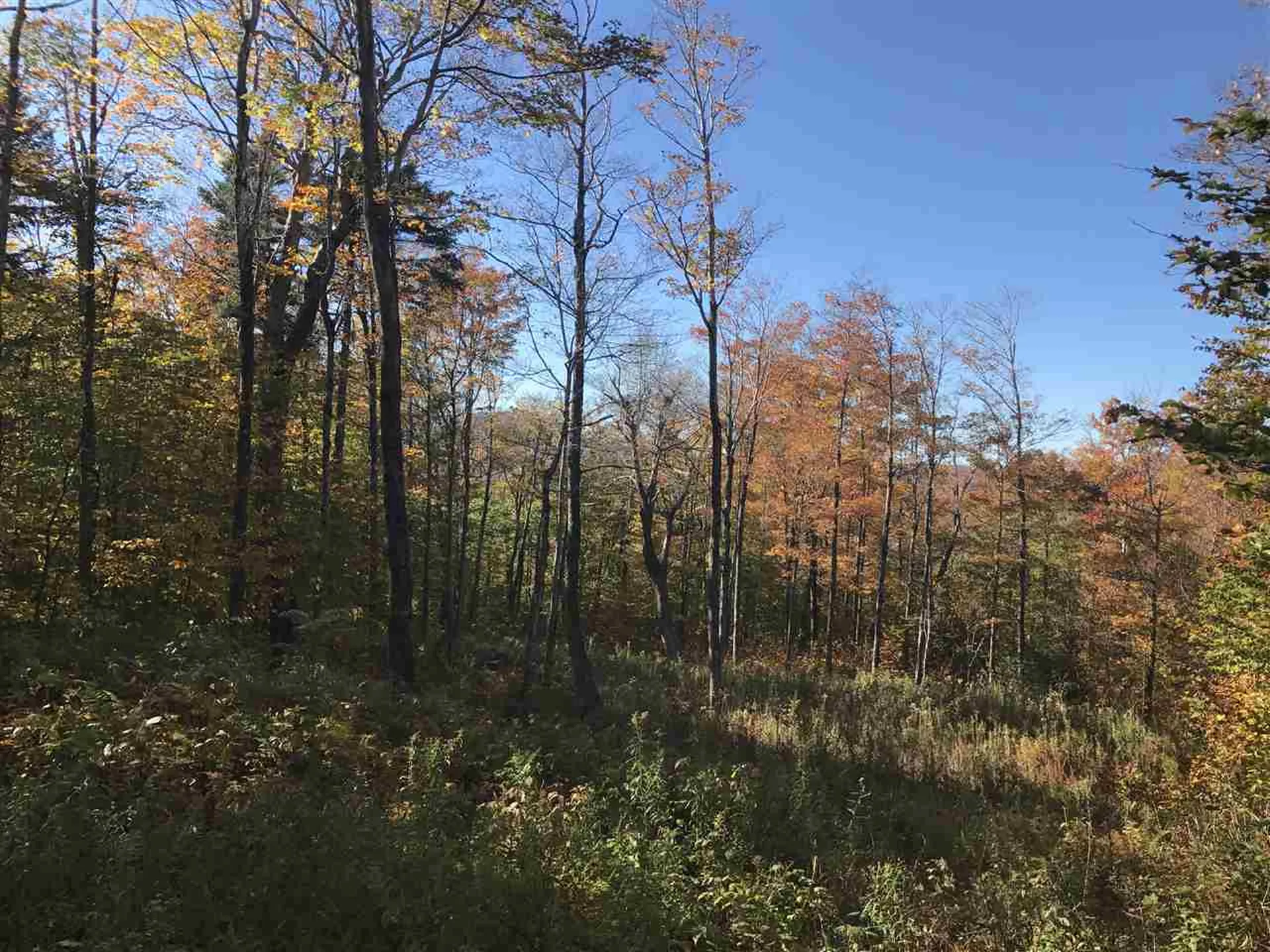 Lot#1 Woodman Road Extension Dover VT 05356