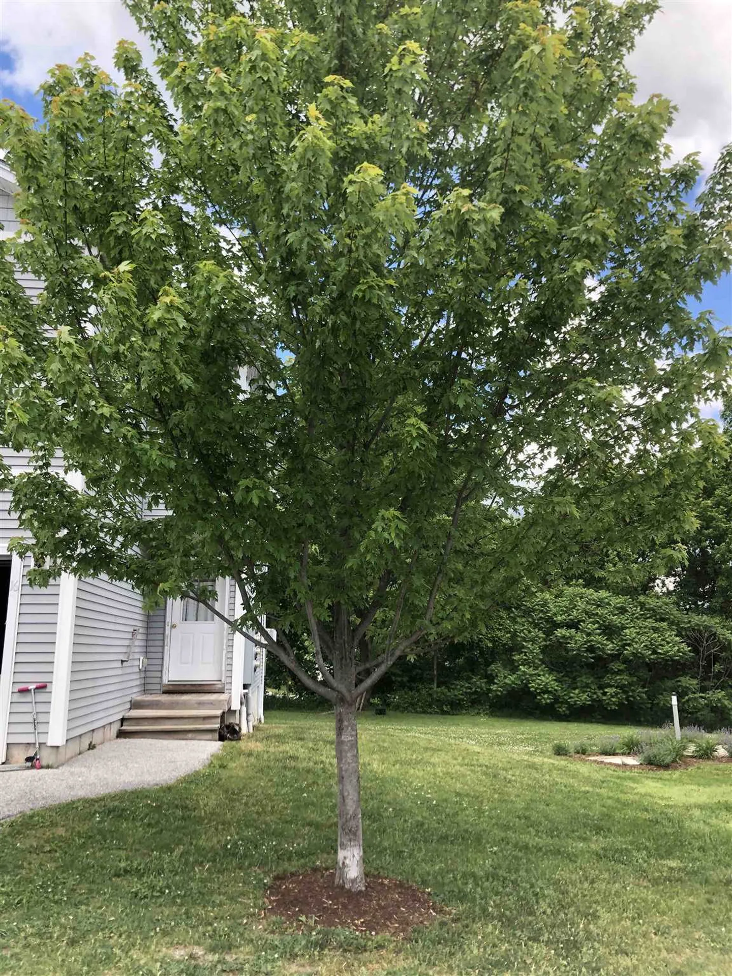 16 Alley Drive Swanton VT 05488