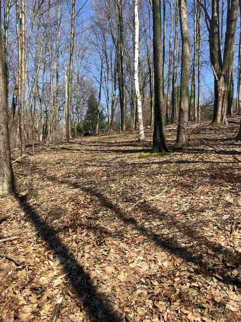 96 B Hill Road Pownal VT 05261