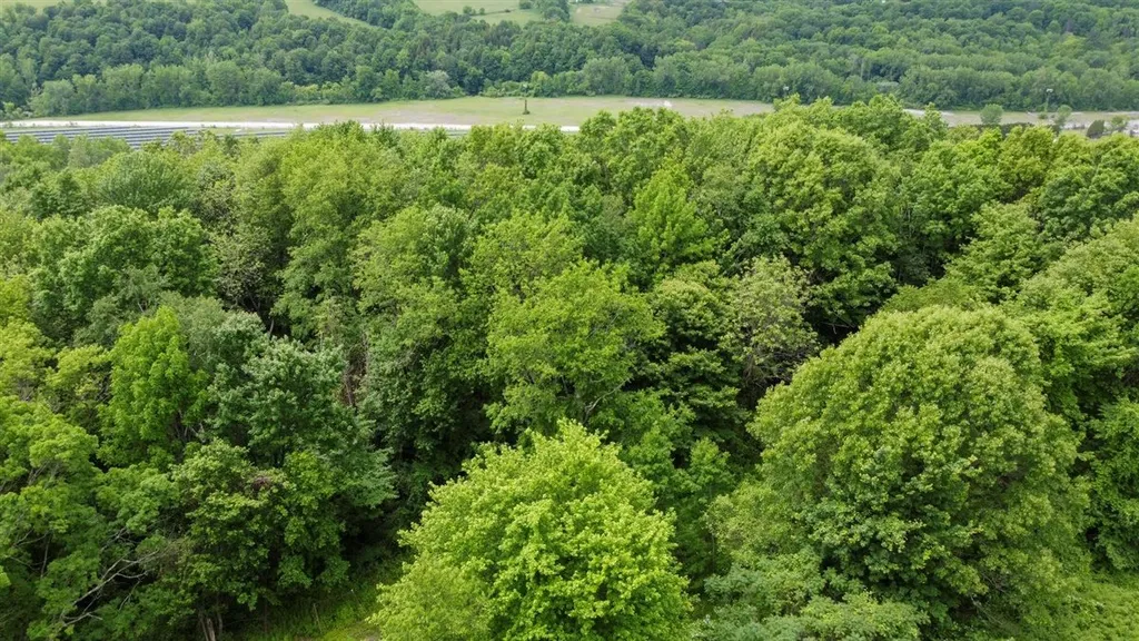 96 B Hill Road Pownal VT 05261
