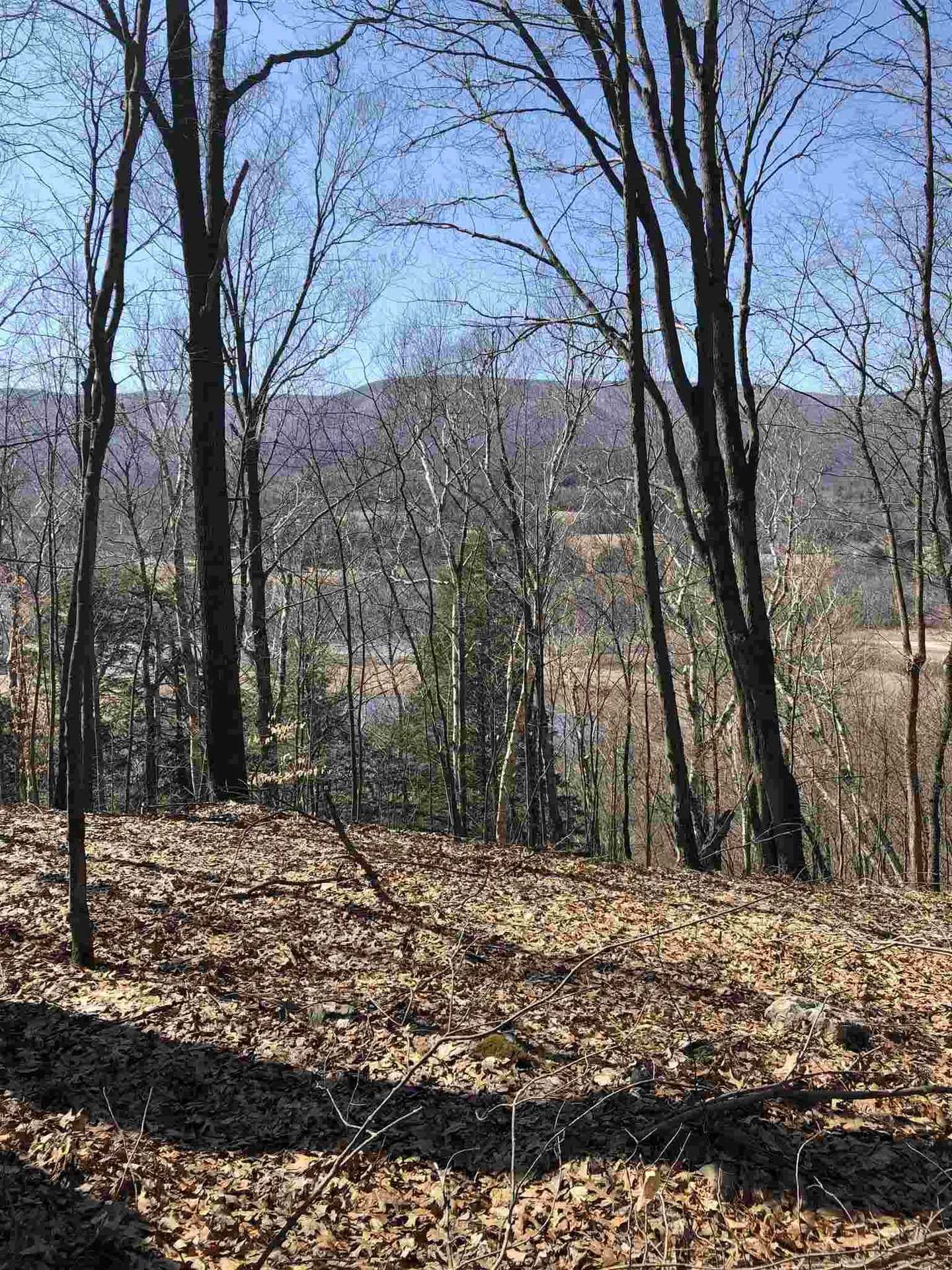 96 B Hill Road Pownal VT 05261