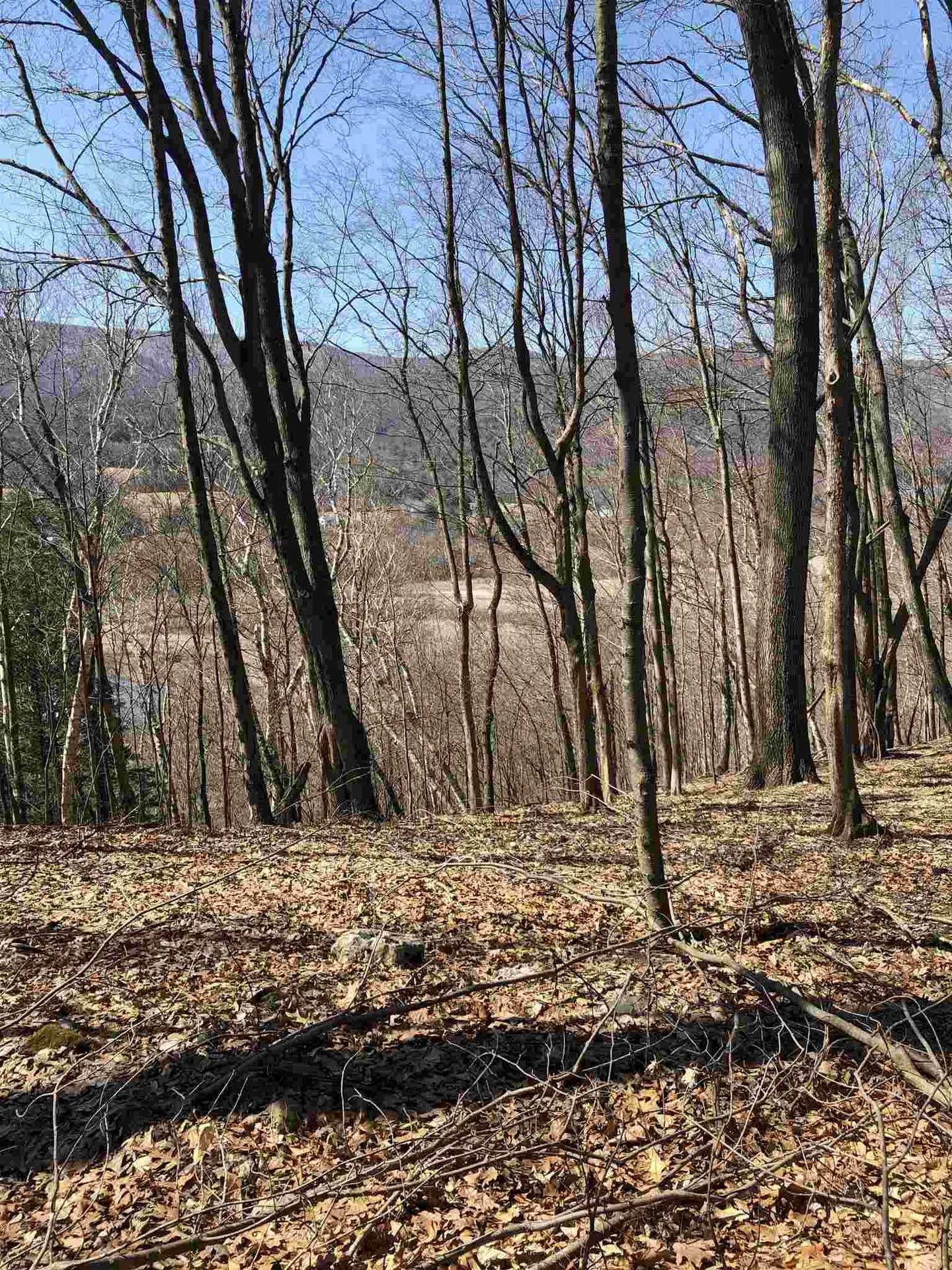 96 B Hill Road Pownal VT 05261