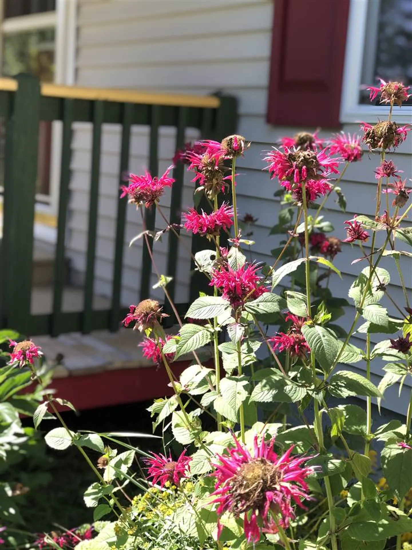 265 Micah Baker Road Concord VT 05824