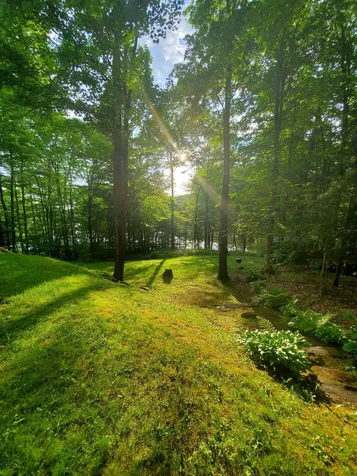 53 Rood Pond Road Brookfield VT 05036