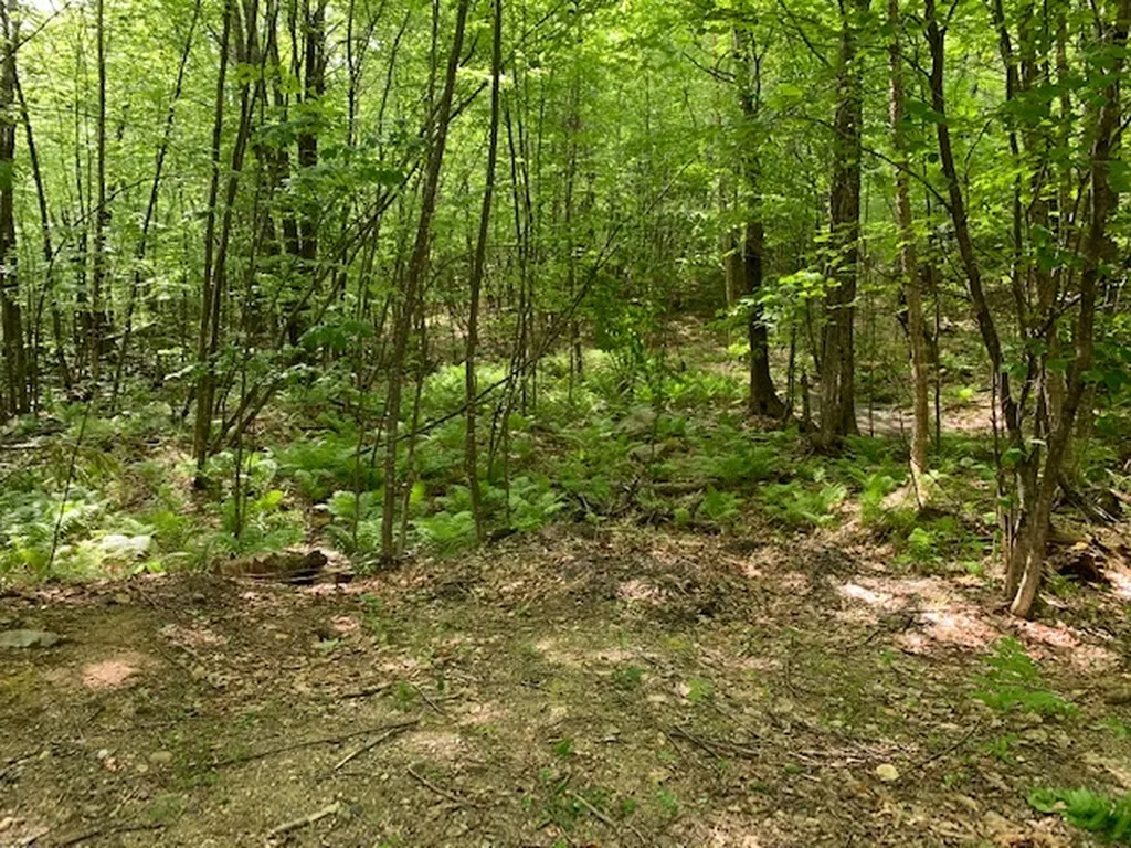 38 Laura Lane Barrington NH 03825