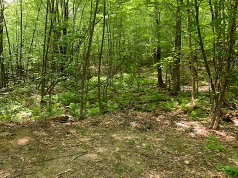 38 Laura Lane Barrington NH 03825