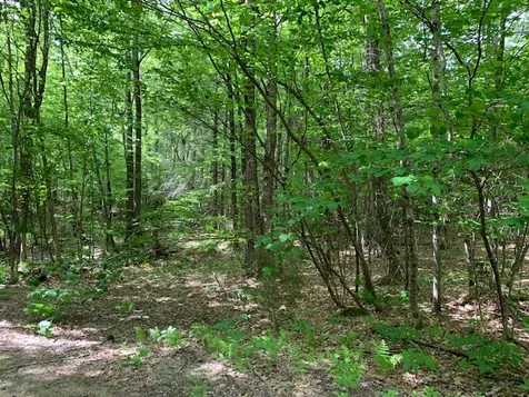 38 Laura Lane Barrington NH 03825