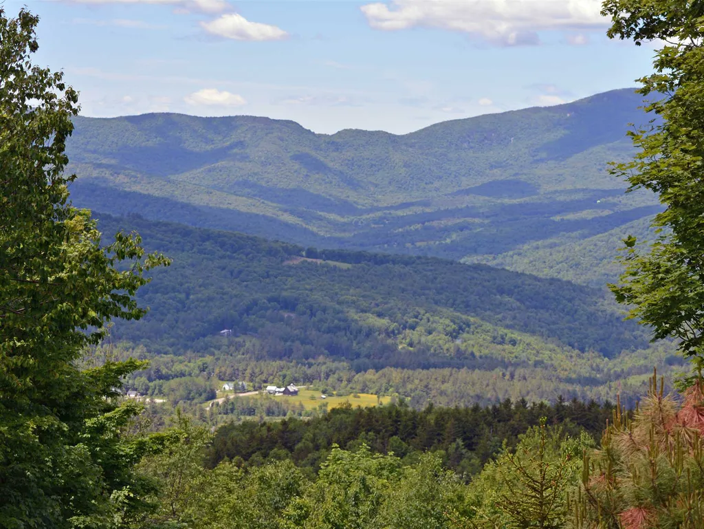 1563 Roxbury Mountain Road Warren VT 05674