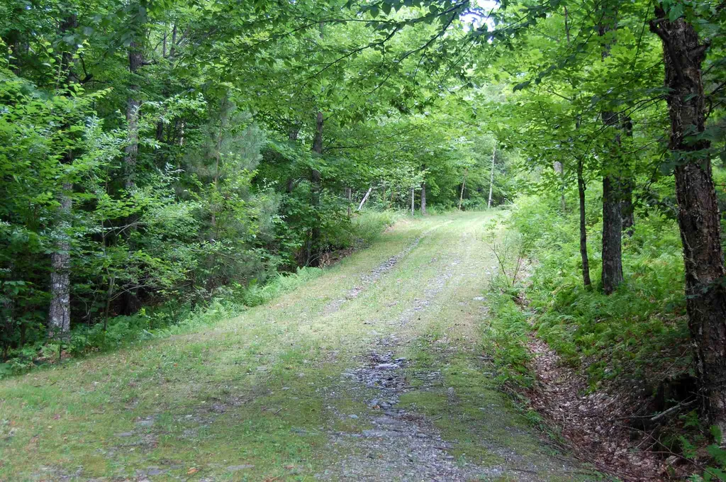 1563 Roxbury Mountain Road Warren VT 05674