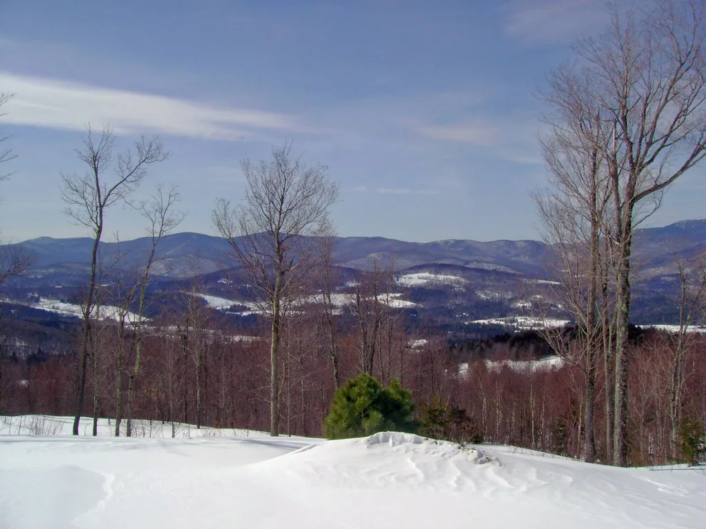 1563 Roxbury Mountain Road Warren VT 05674