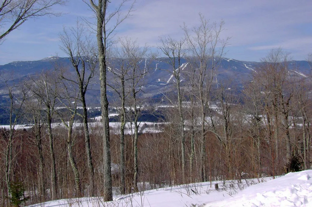 1563 Roxbury Mountain Road Warren VT 05674
