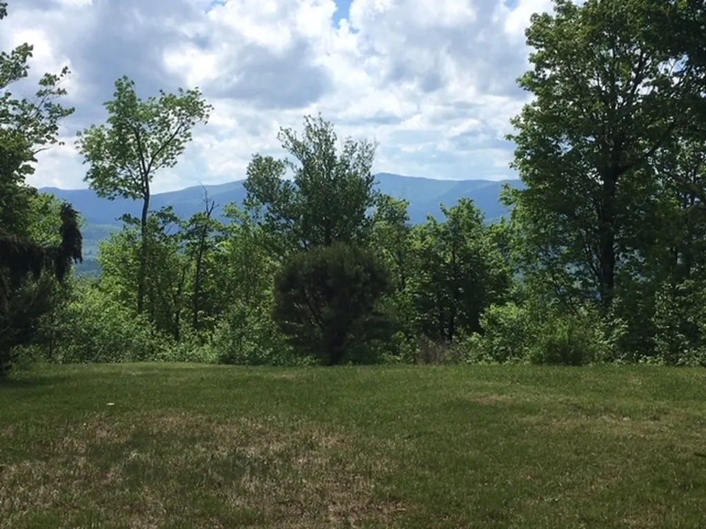 1563 Roxbury Mountain Road Warren VT 05674