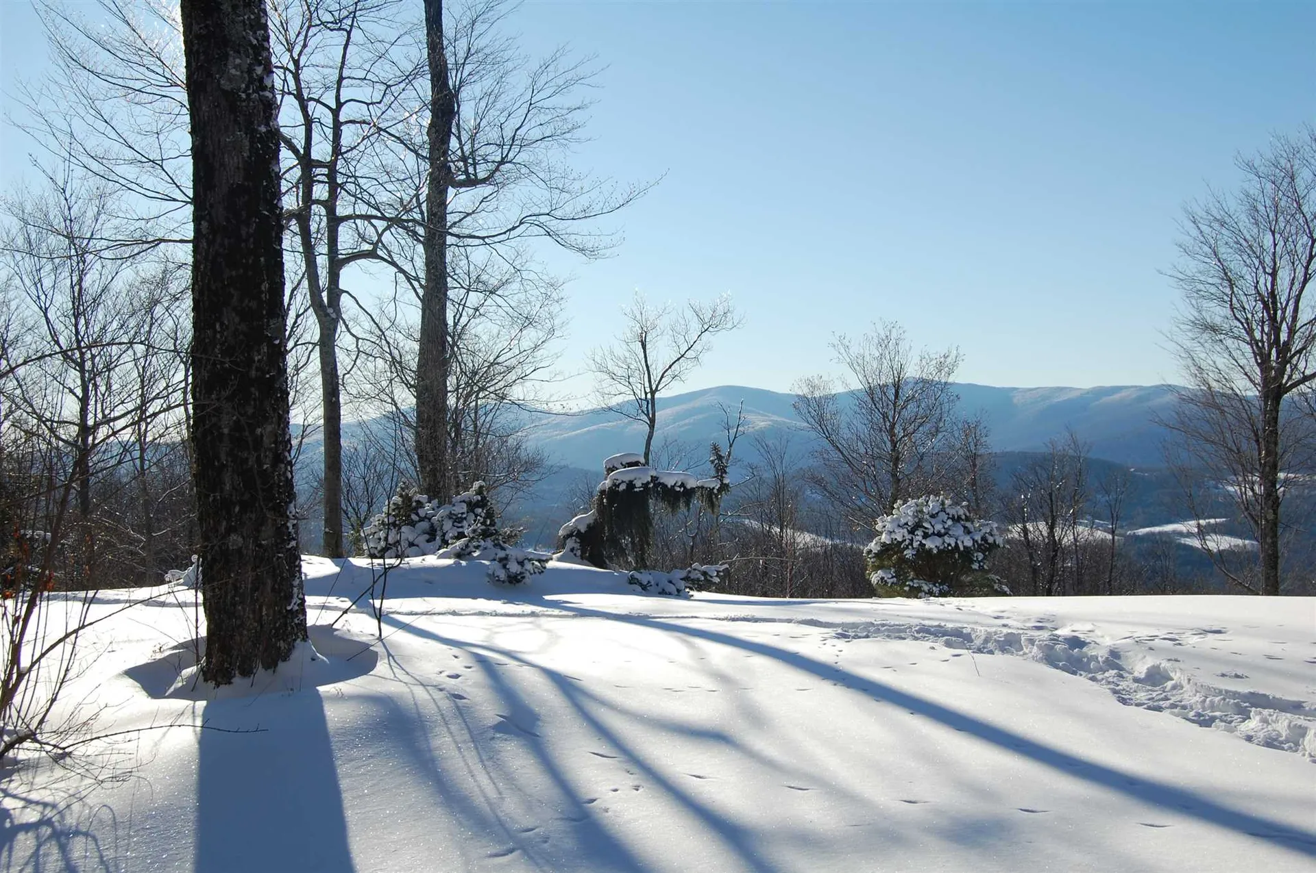 1563 Roxbury Mountain Road Warren VT 05674