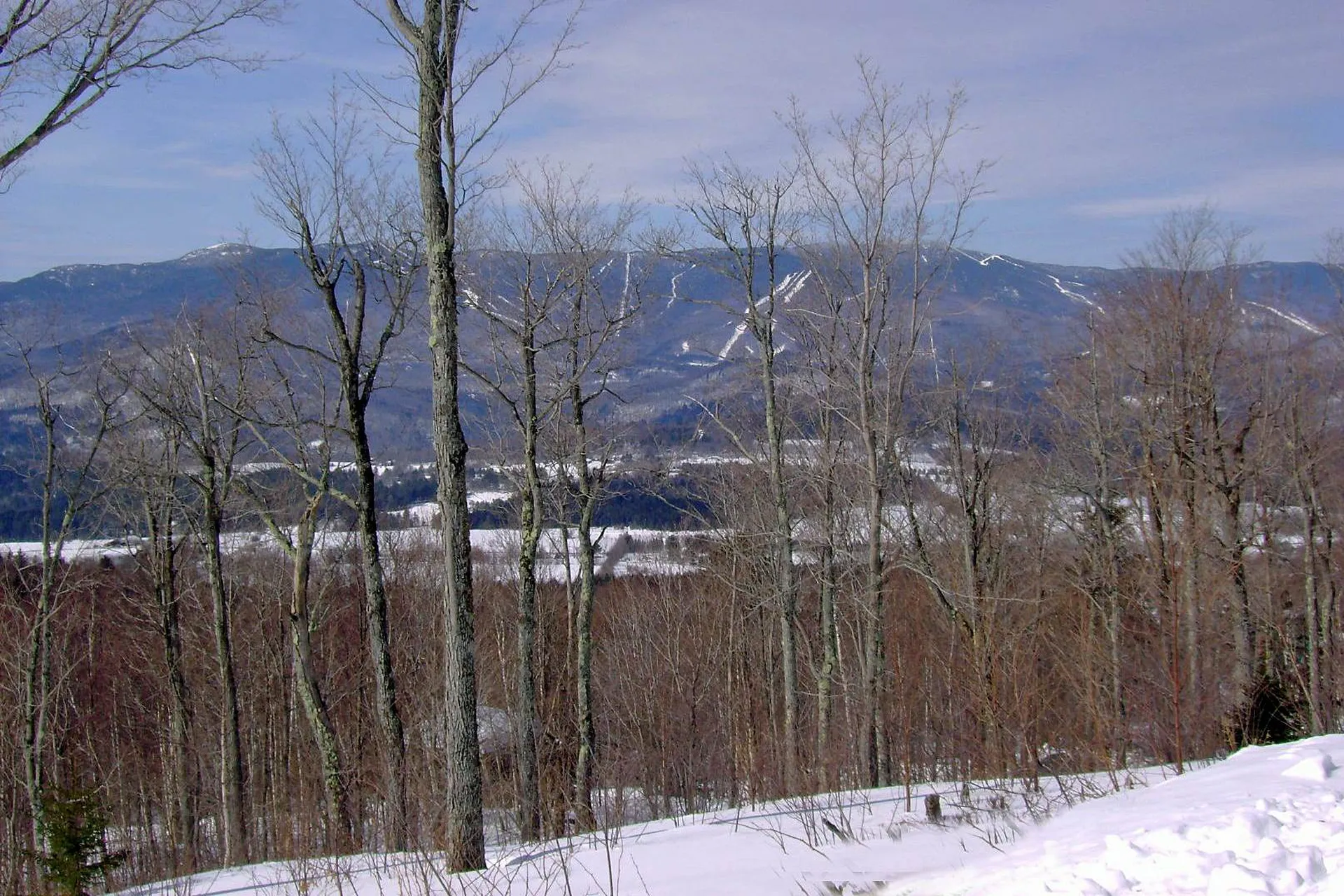1563 Roxbury Mountain Road Warren VT 05674