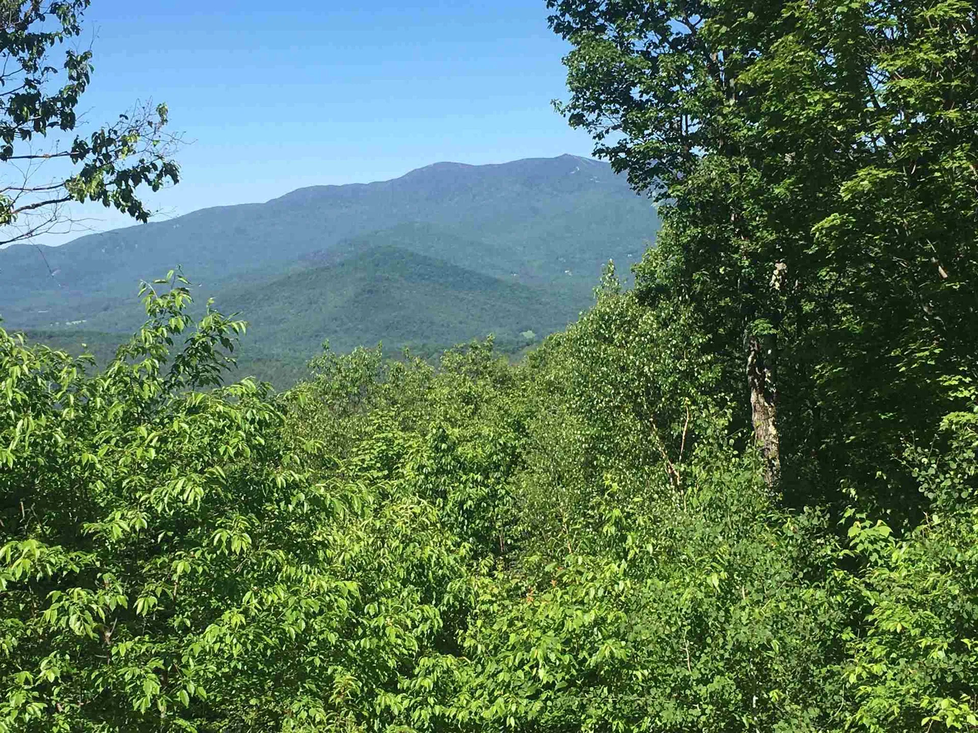 1563 Roxbury Mountain Road Warren VT 05674