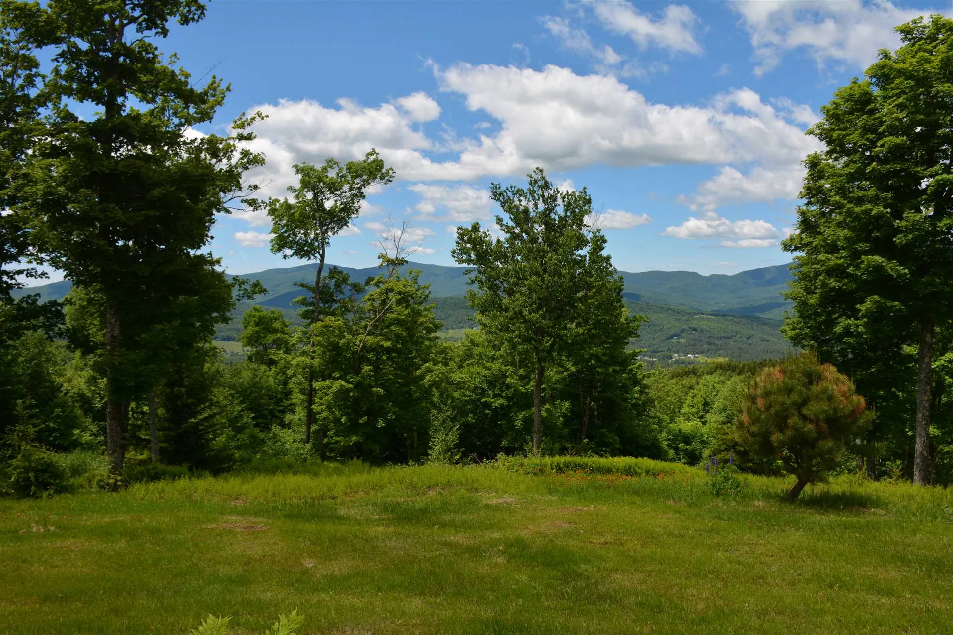 1563 Roxbury Mountain Road Warren VT 05674