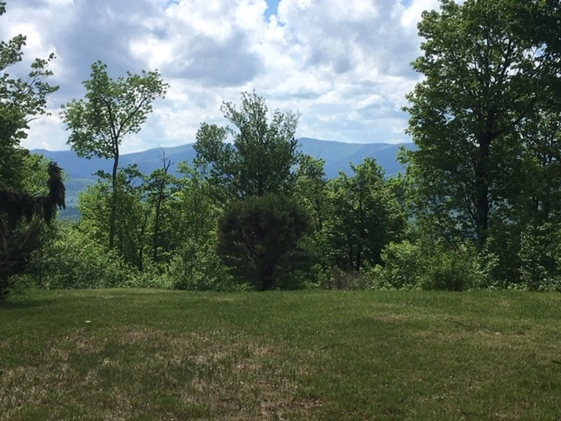 1563 Roxbury Mountain Road Warren VT 05674