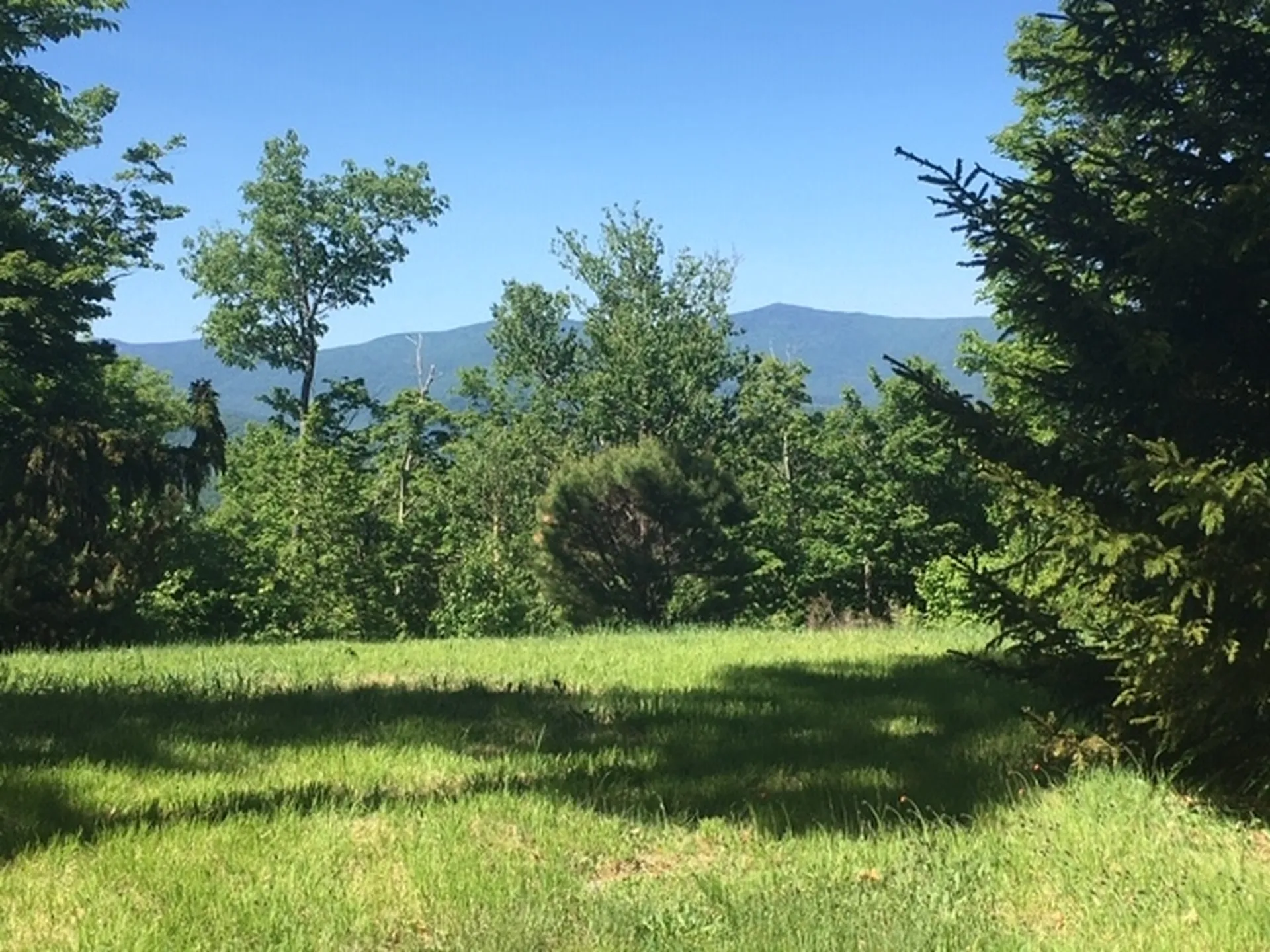 1563 Roxbury Mountain Road Warren VT 05674
