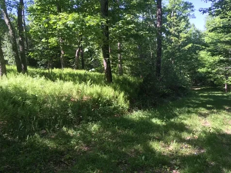 1563 Roxbury Mountain Road Warren VT 05674