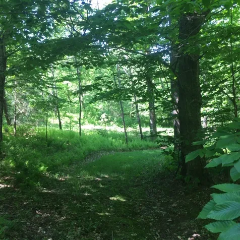1563 Roxbury Mountain Road Warren VT 05674