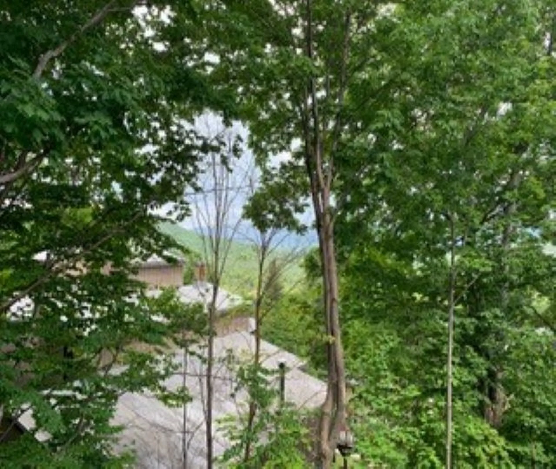 19 Village Run Road Warren VT 05674