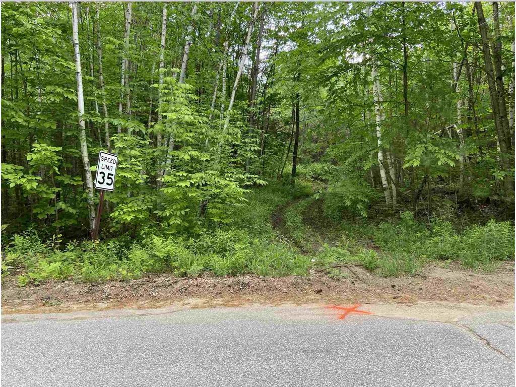 00 Old Bristol Road New Hampton NH 03256