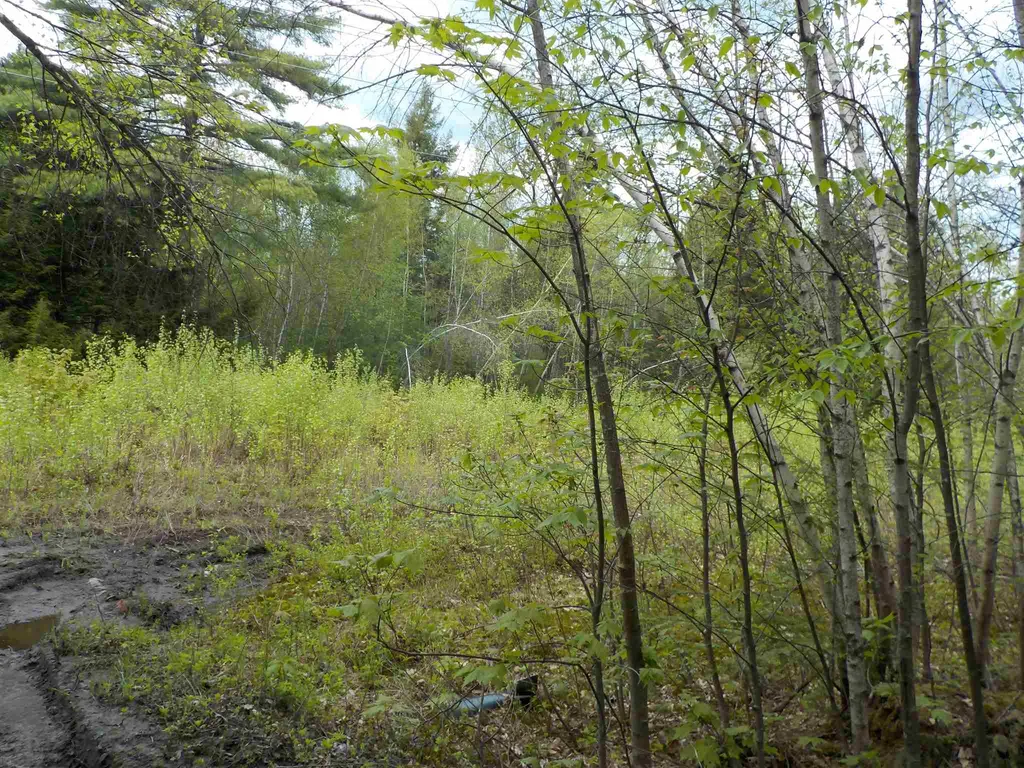 00 Old Bristol Road New Hampton NH 03256