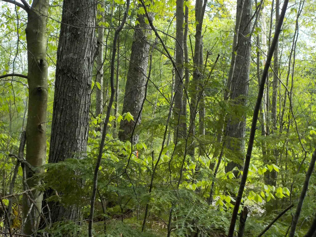 00 Old Bristol Road New Hampton NH 03256