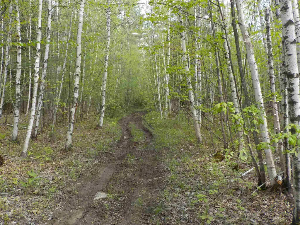 00 Old Bristol Road New Hampton NH 03256