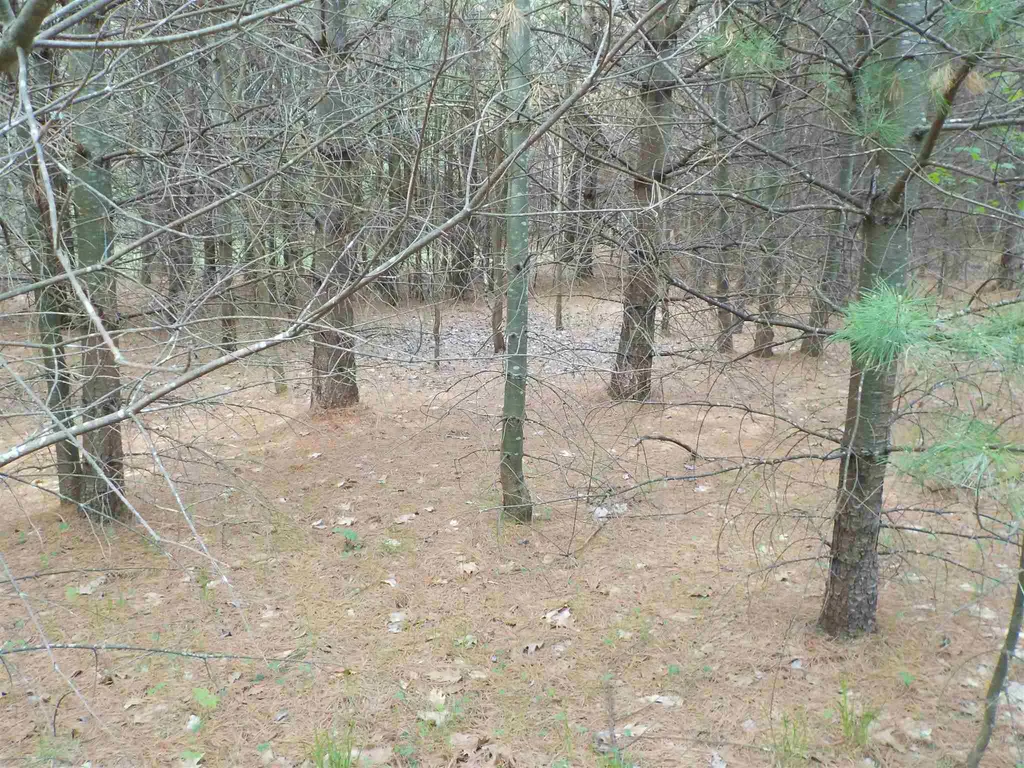 00 Old Bristol Road New Hampton NH 03256