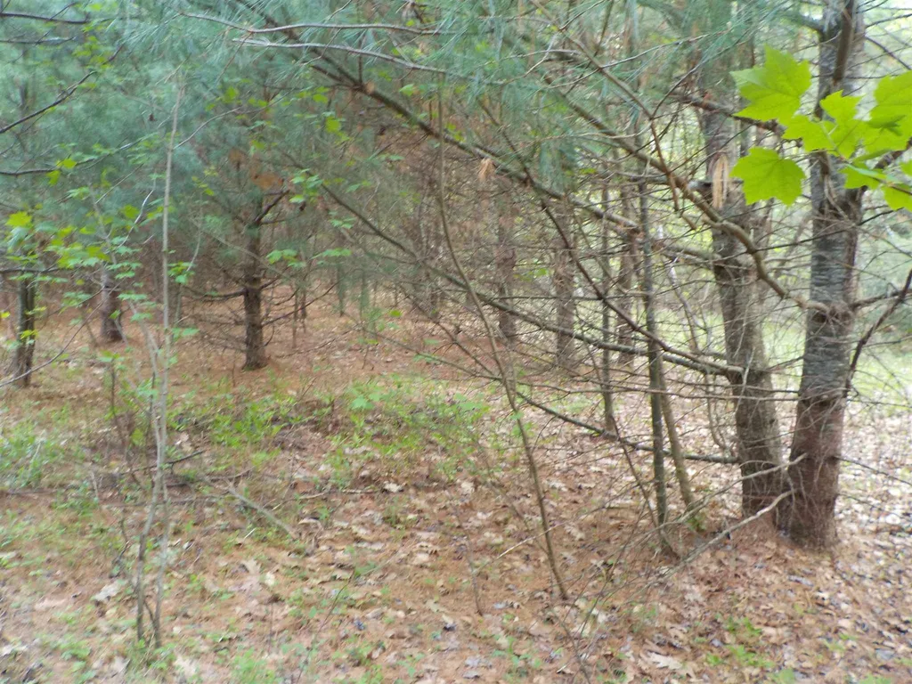 00 Old Bristol Road New Hampton NH 03256