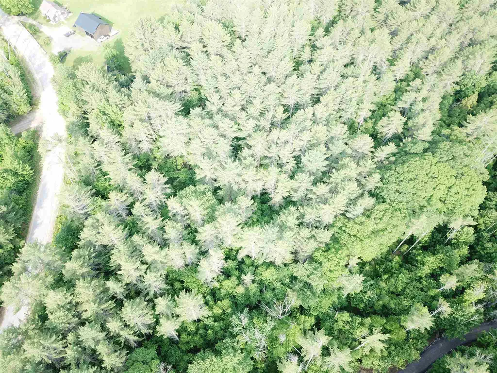 00 Old Bristol Road New Hampton NH 03256