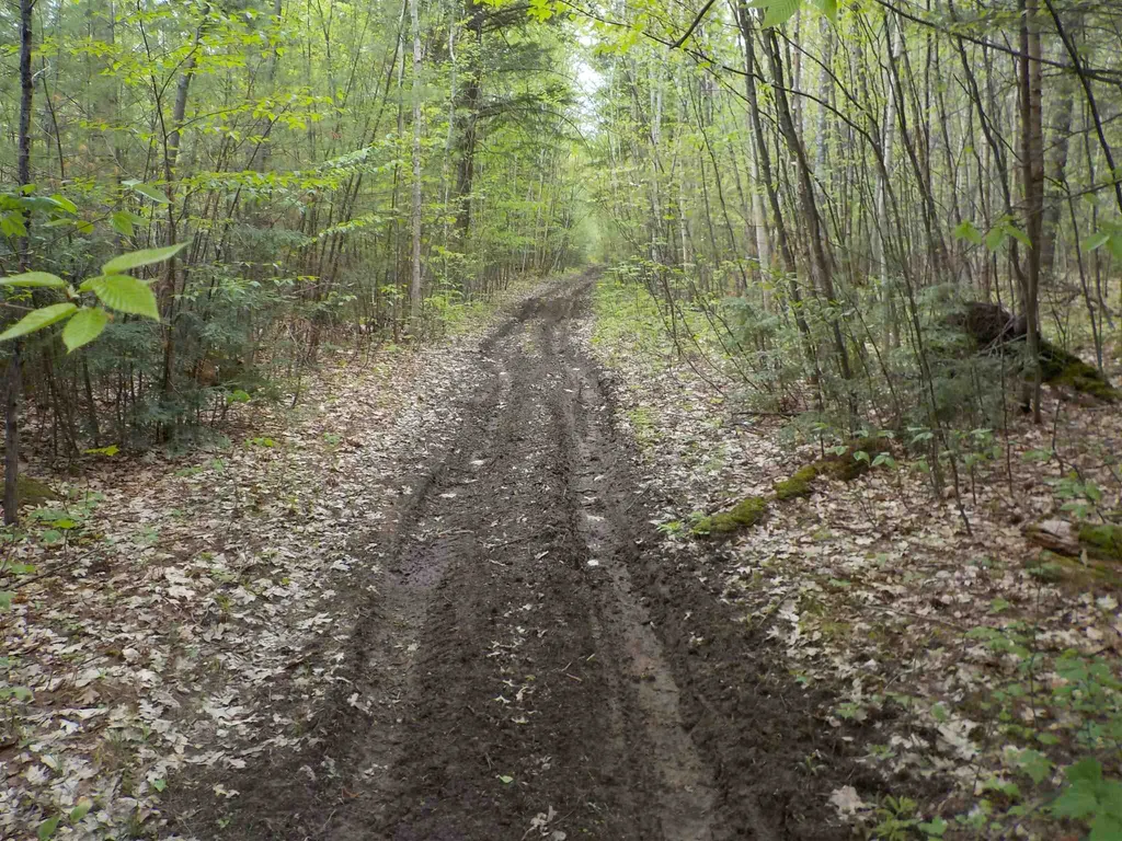 00 Old Bristol Road New Hampton NH 03256