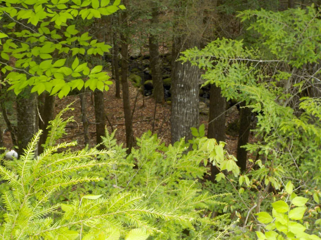 00 Old Bristol Road New Hampton NH 03256