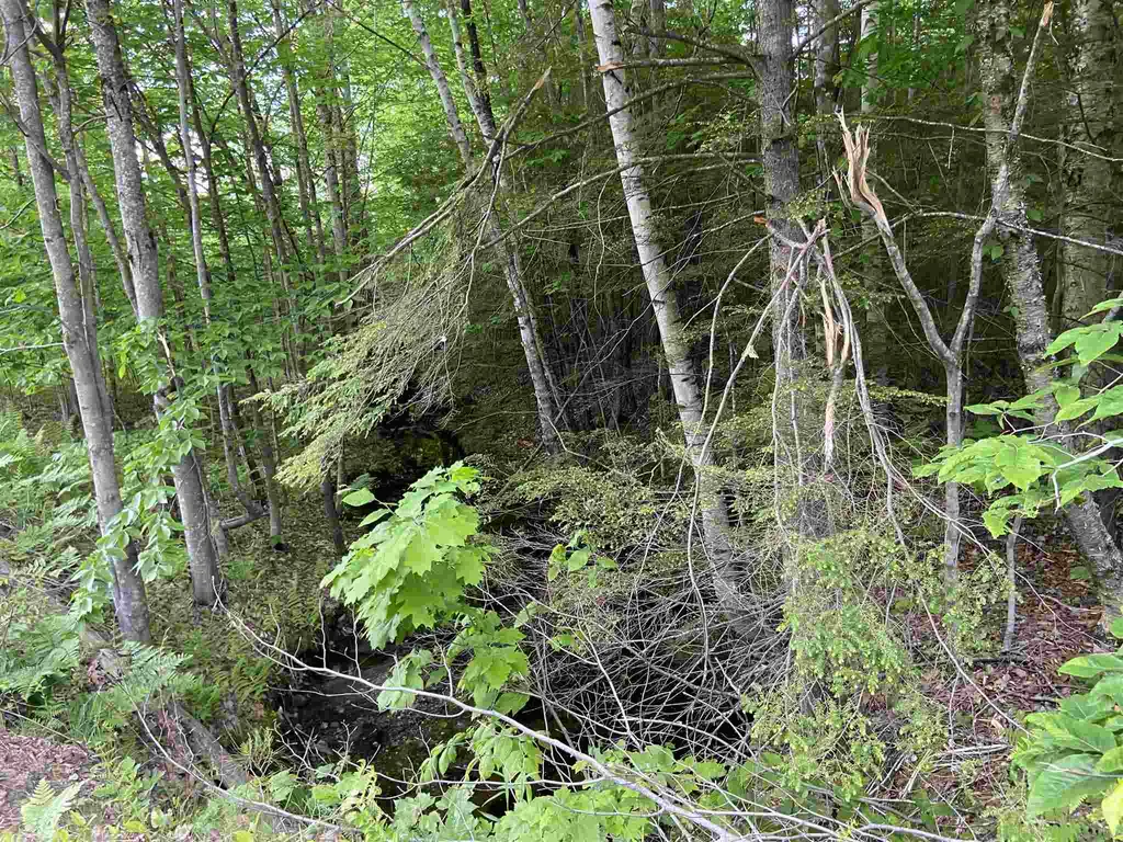 00 Old Bristol Road New Hampton NH 03256